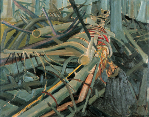 Image in a Cedar Slash, 1947